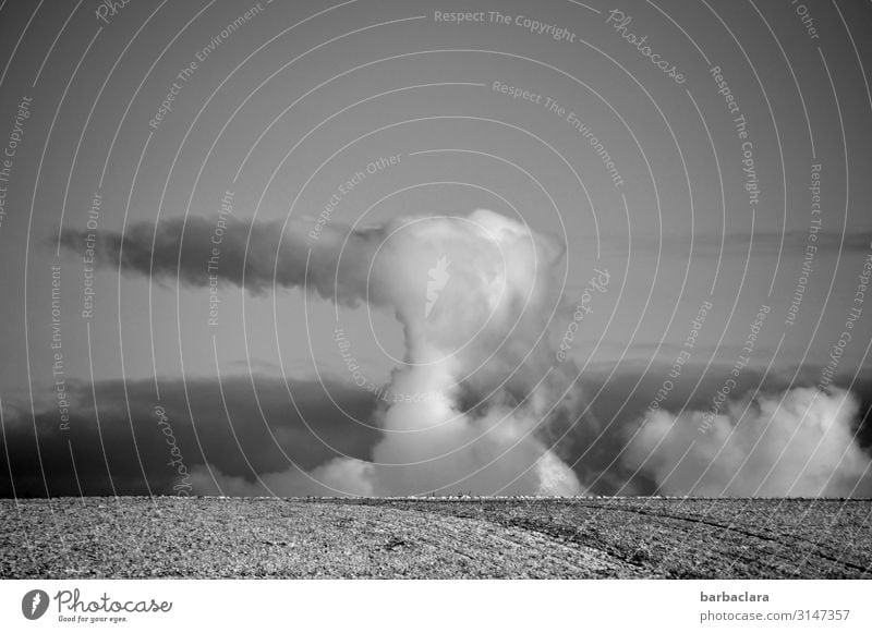 Die Wolke Landschaft Urelemente Erde Luft Himmel Wolken Winter Klima Unwetter Eis Frost Schnee Feld außergewöhnlich bedrohlich dunkel gigantisch grau schwarz