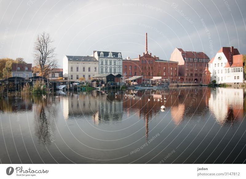 die stadt im fluss (4). elegant Stil Tourismus Wasser Wolkenloser Himmel Schönes Wetter Baum Küste Fluss Stadt Haus Industrieanlage Bauwerk Gebäude Architektur