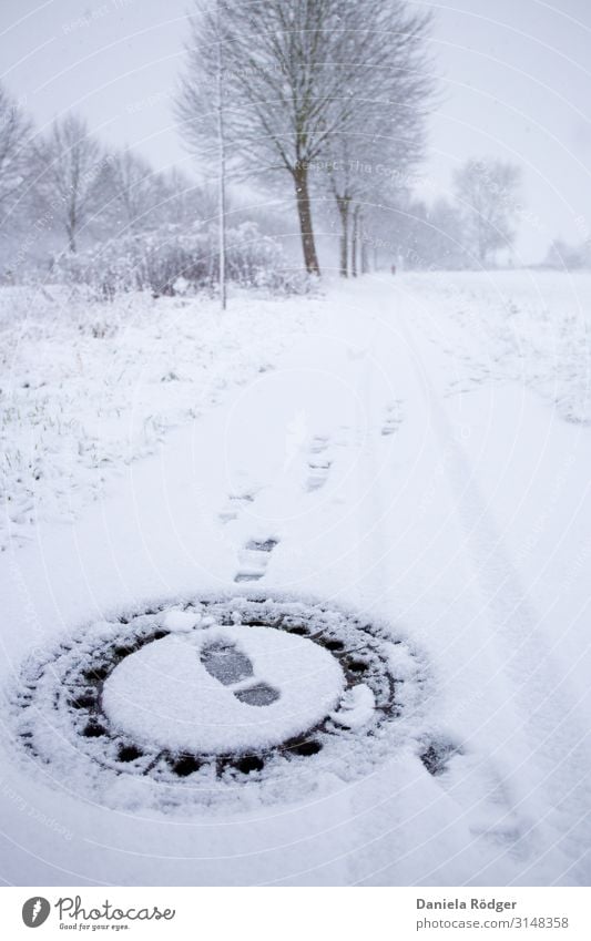 Fußspuren im Schnee Umwelt Natur Landschaft Winter Wetter Eis Frost Baum Verkehrswege Wege & Pfade kalt Stadt weiß Neugier Fernweh Einsamkeit einzigartig