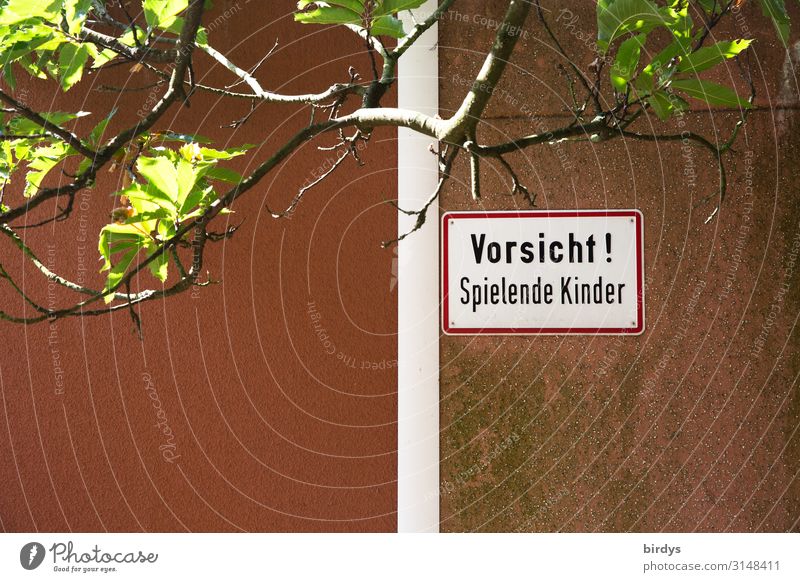 Gefahr von allen Seiten Spielen Schönes Wetter Baum Mauer Wand Schriftzeichen Schilder & Markierungen Hinweisschild Warnschild rennen authentisch lustig positiv