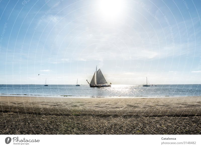 Ein Plattbodenschiff segelt träge am Strand vorbei, die Flut setzt ein und die Sonne scheint Küste Meer Wasser Sand Ferien & Urlaub & Reisen Horizont Himmel