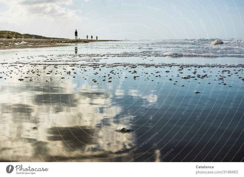 Personen spazieren am Strand, Wolken spiegeln sich im Wasser Ferien & Urlaub & Reisen Sommer Sommerurlaub Meer androgyn 4 Mensch Natur Landschaft Himmel