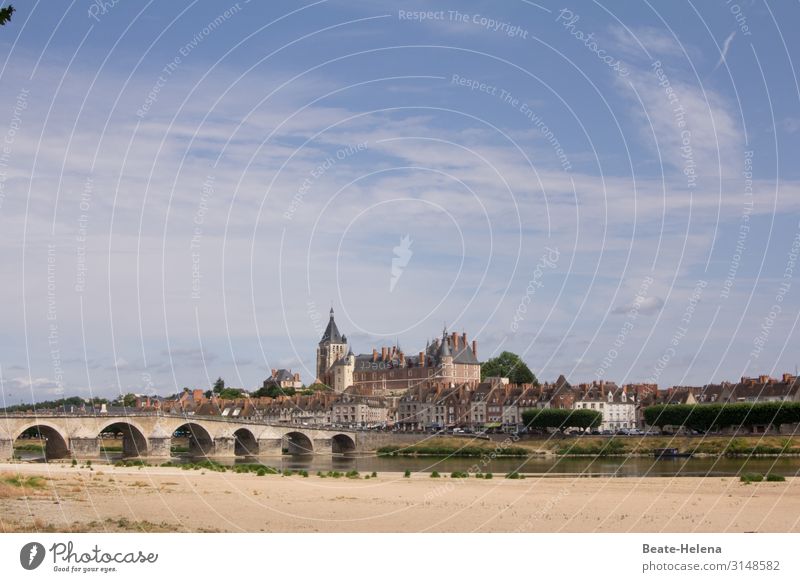 Entlang der Loire 11 Frankreich Fluss Brücke Stadt historisch Schloss Häuserfassade Architektur alt Wahrzeichen Gebäude Wasser Burg oder Schloss