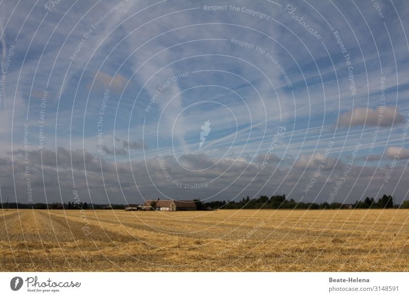 Bewegter Himmel auf dem Land Wolken bewegt Landleben Feld Kornfeld Bauernhaus Häuser Dorf Wald Natur Landwirtschaft Getreidefeld abgeerntet Wolkenhimmel