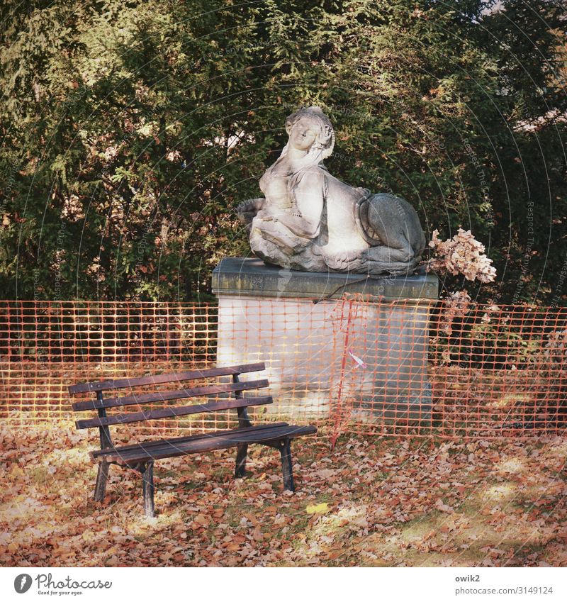 Sphinx Kunstwerk Skulptur Natur Herbst Baum Park Sandstein Engel Sockel Barock üppig (Wuchs) Parkbank Barriere Bauzaun Stein Holz Kunststoff alt dick historisch