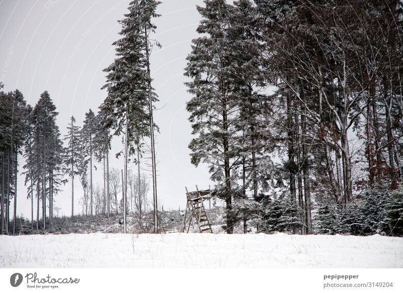 Hochsitz Freizeit & Hobby Jagd Ausflug Abenteuer Winter Schnee Jäger Arbeitsplatz Landwirtschaft Forstwirtschaft Landschaft Baum Feld Wald Hügel Hütte Holz