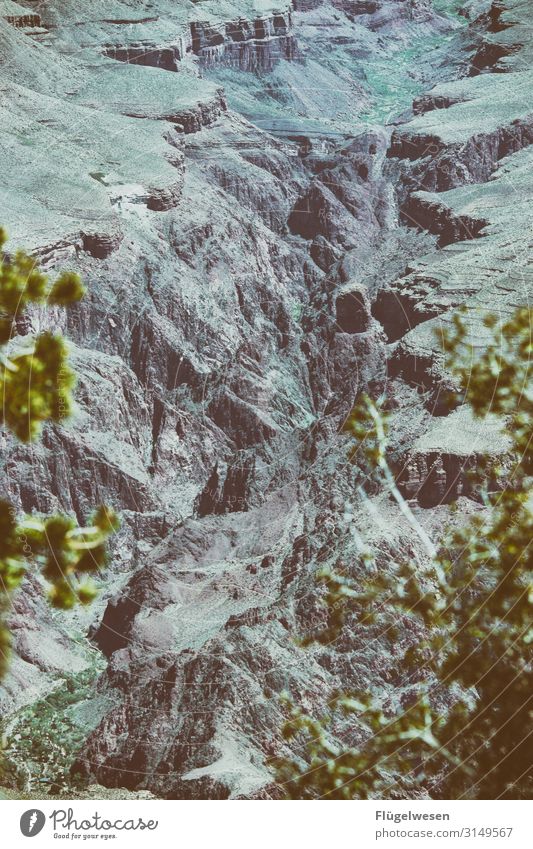 Grand Canyon Grand Canyon of the Yellowstone Grand Canyon State USA Amerika Berge u. Gebirge Gesteinsformationen