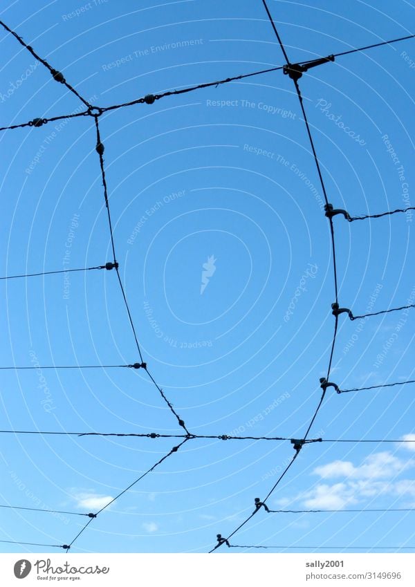 Stromversorgung... Stromleitung Stromkabel Kabel Elektrizität Technik & Technologie Stromversorung Leitung Verzweigung Himmel blauer Himmel Energie Draht