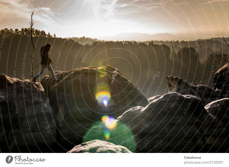 Der junge Mann läuft über  Holpersteine im Elbsandsteingebirge an diesem Winternachmittag wandern maskulin 1 Mensch Natur Landschaft Pflanze Himmel