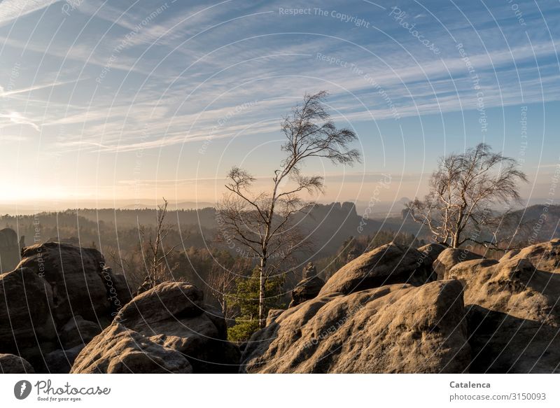 Im Elbsandstein wird der Nachmittag zum Abend, die Felsen tauchen ein im warmen Licht, die Schatten werden länger, der Himmel blasser. Elbsandsteingebirge