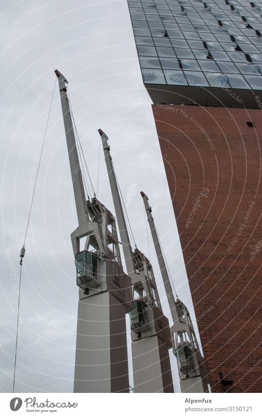 Drei Arbeitslose | UT HH19 Technik & Technologie Industrie Kran Hafen Hafenstadt Hamburg Hamburger Hafen Hafenkran Farbfoto Außenaufnahme Menschenleer