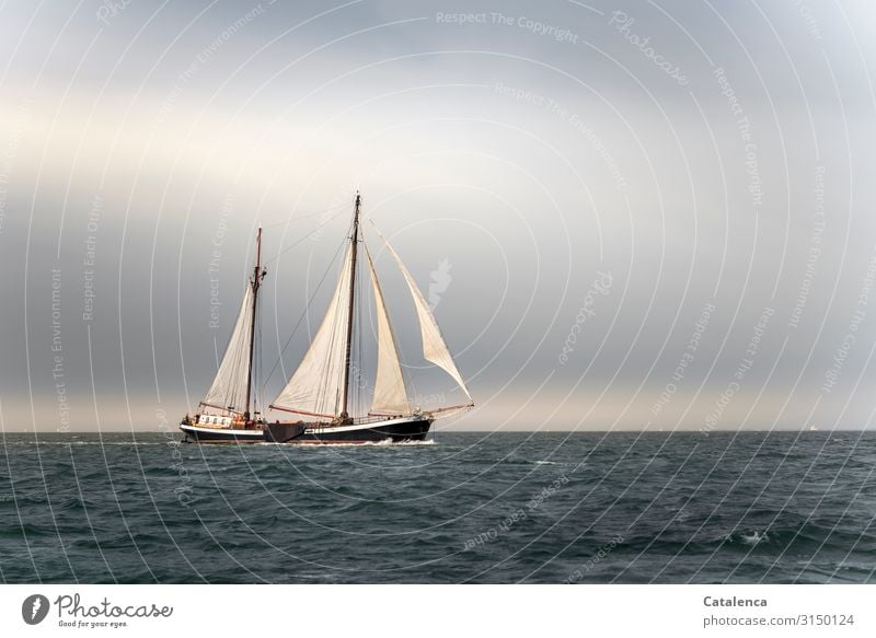 Ein Plattbodenschiff segelt mit vollen Segeln vorbei, Wolken stehen am Himmel über dem Meer Natur Urelemente Luft Wasser Horizont Wetter Nordsee Schifffahrt