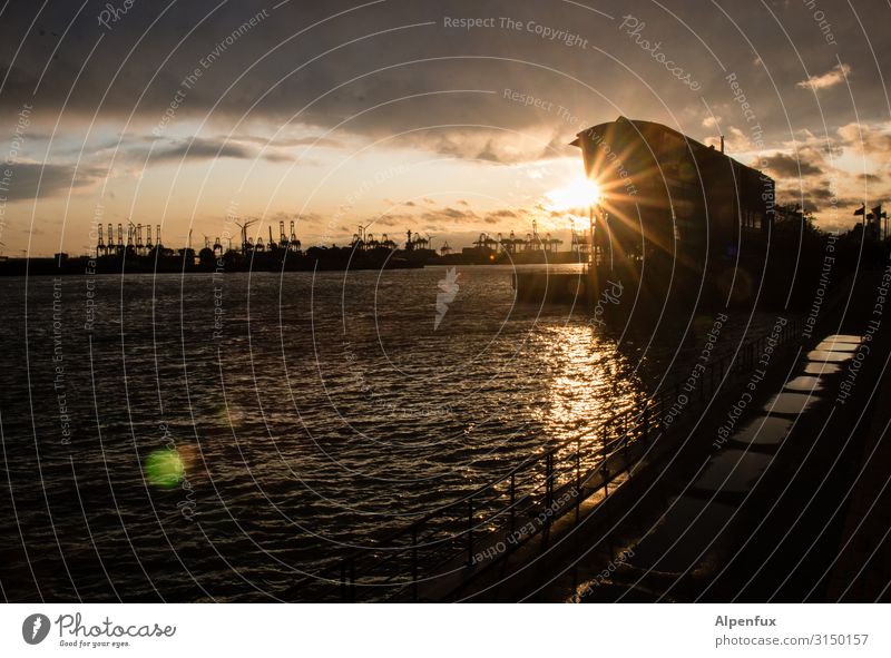 Sundowner | UT HH19 Sonnenaufgang Sonnenuntergang Sonnenlicht Freude Glück Zufriedenheit Lebensfreude ästhetisch Erholung Hamburg Hafen Hafenstadt