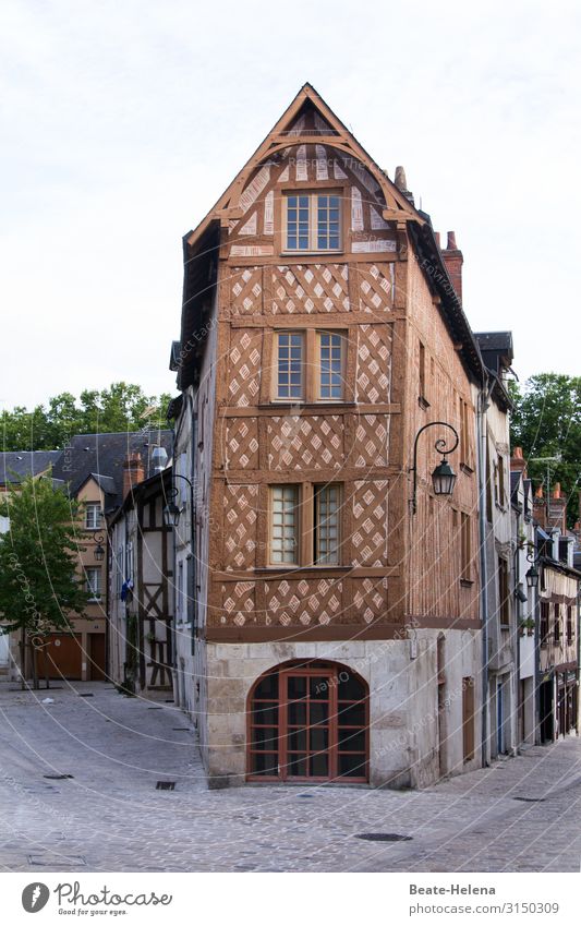 Entlang der Loire 7 Frankreich Gebäude historisch Fassade Architektur Altstadt Ferien & Urlaub & Reisen Stadtzentrum Fenster Laterne Tourismus Sightseeing