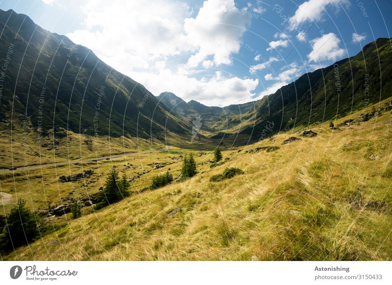 Tal in den Südkarpaten Umwelt Natur Landschaft Pflanze Luft Himmel Wolken Horizont Sonne Sommer Wetter Schönes Wetter Baum Gras Wiese Berge u. Gebirge Karpaten