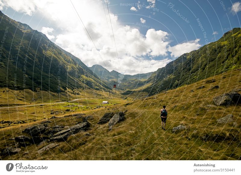 Wandern in den Südkarpaten Mensch feminin Körper 1 Umwelt Natur Landschaft Pflanze Himmel Wolken Sonne Sommer Wetter Schönes Wetter Gras Sträucher Felsen