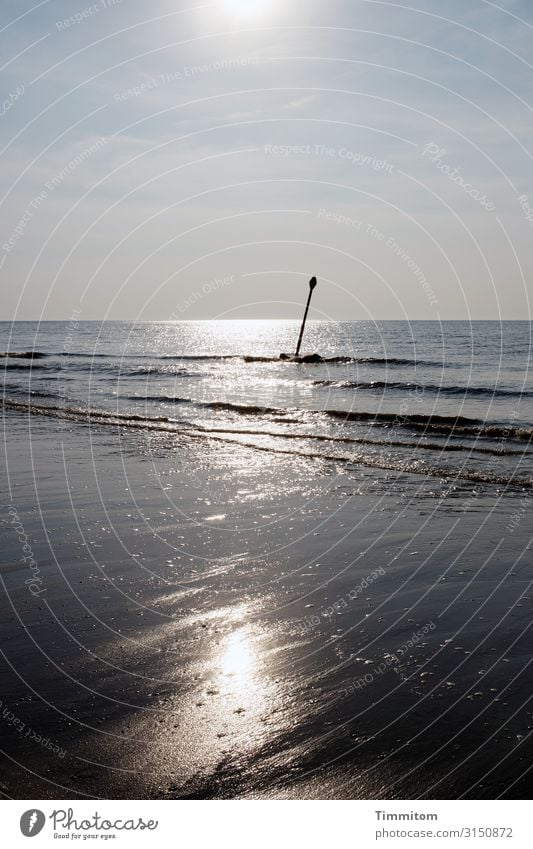 Seeluft. Ferien & Urlaub & Reisen Umwelt Natur Urelemente Wasser Himmel Schönes Wetter Küste Strand Nordsee Niederlande ästhetisch hell natürlich blau braun