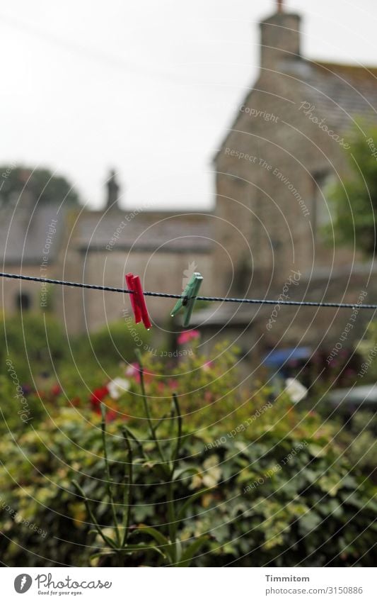 Wäscheleine Ferien & Urlaub & Reisen Häusliches Leben Umwelt Natur Pflanze Himmel schlechtes Wetter Garten Großbritannien Einfamilienhaus Mauer Wand