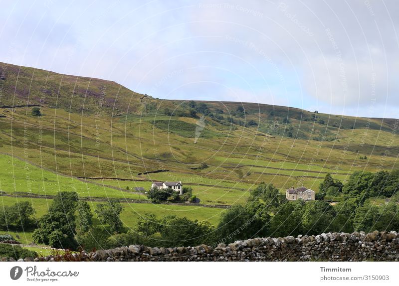 Landschaft Ferien & Urlaub & Reisen Umwelt Natur Pflanze Himmel Schönes Wetter Wiese Feld Hügel Großbritannien Haus Wege & Pfade ästhetisch natürlich blau grün