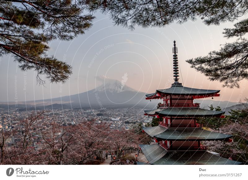 Sunset at Mt. Fuji with some cherry blossoms Architektur Landschaft Sonnenaufgang Sonnenuntergang Frühling Berge u. Gebirge Schneebedeckte Gipfel Vulkan Japan