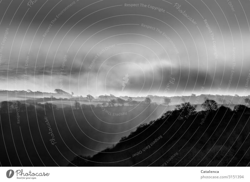 Landschaft in Moll, Sonnenstrahlen kämpfen sich durch eine dicke Wolkendecke Natur Luft Wassertropfen Himmel Horizont Winter schlechtes Wetter Nebel Pflanze