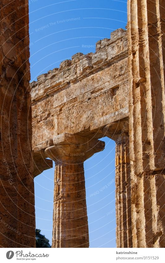 Der griechische Hera-II-Tempel. Paestum, Italien Ferien & Urlaub & Reisen Tourismus Kunst Kultur Park Ruine Architektur Stein alt Religion & Glaube Poseidonia