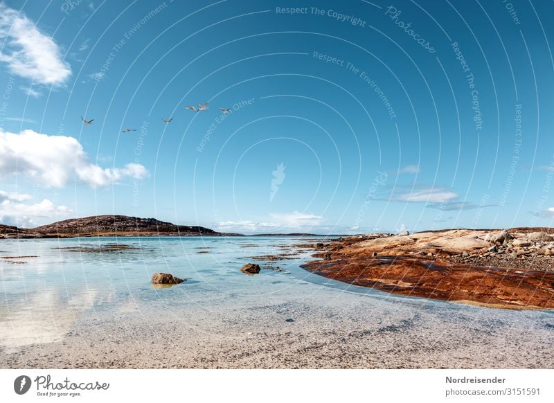 Schären Schwimmen & Baden Ferien & Urlaub & Reisen Ferne Freiheit Sommer Sommerurlaub Sonne Strand Meer Insel Natur Landschaft Himmel Wolken Schönes Wetter