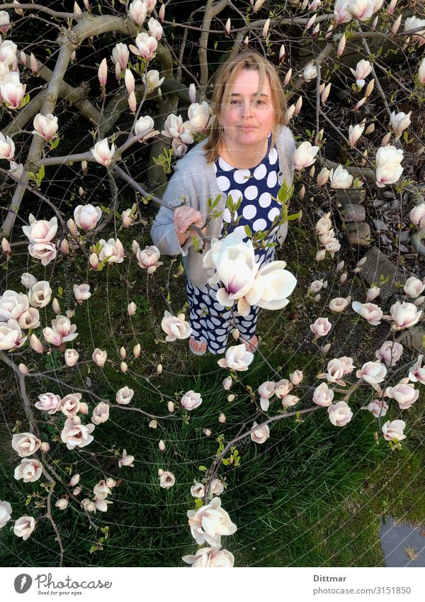 Frau mit getupftem Kleid steht unter einer Magnolie Erwachsene 45-60 Jahre Frühling Baum Magnoliengewächse Magnolienbaum Magnolienblüte Garten Strickjacke