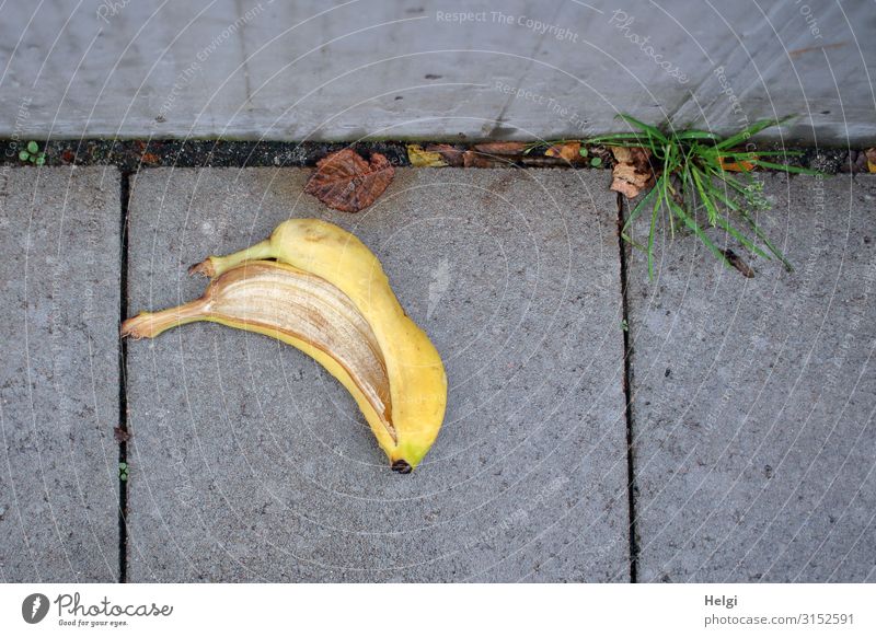 weggeworfene Bananenschale liegt auf einem Gehweg aus Pflastersteinen Umwelt Natur Pflanze Gras Wege & Pfade Fußweg Beton liegen authentisch außergewöhnlich