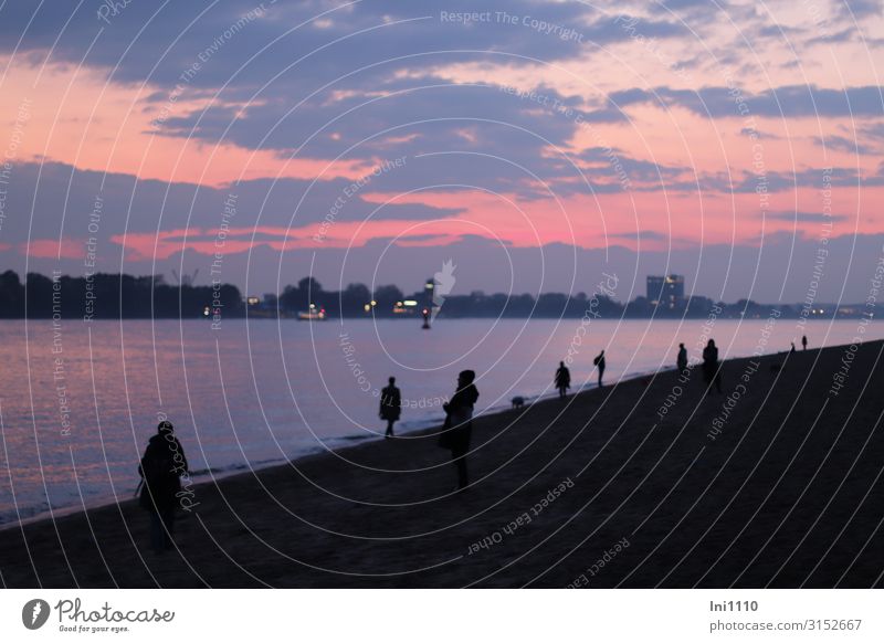 Blaue Stunde | UT Hamburg Freizeit & Hobby Tourismus Ausflug Landschaft Wolken Nachthimmel Sonnenaufgang Sonnenuntergang Herbst Schönes Wetter Flussufer Strand