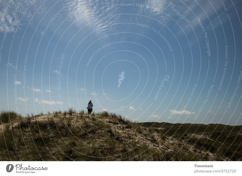 Ruhe finden Ferien & Urlaub & Reisen Mensch Frau Erwachsene Umwelt Natur Landschaft Pflanze Himmel Schönes Wetter Nordsee Düne Lynvig Fyr Dänemark Blick Glück