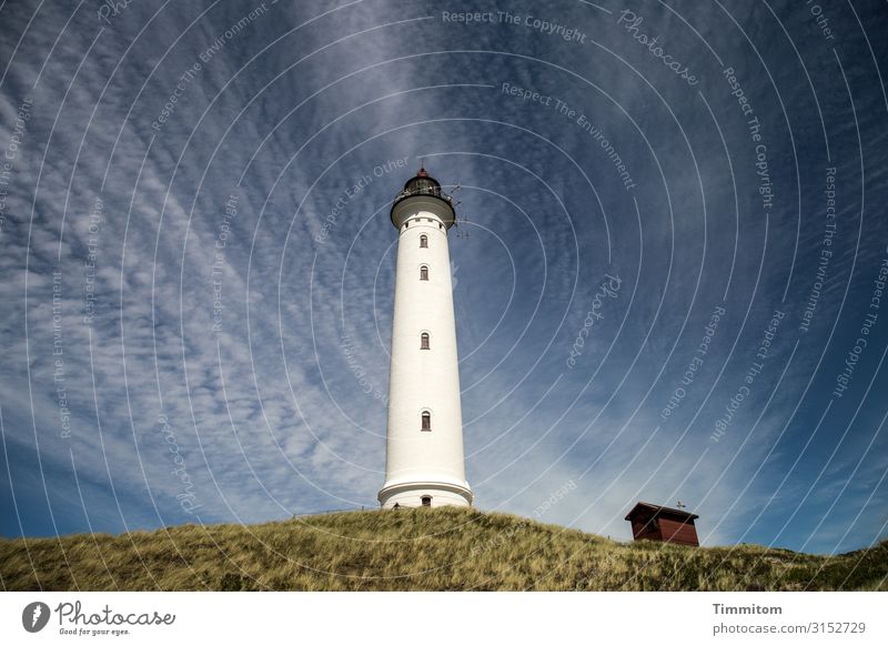 Wolkendominanz Ferien & Urlaub & Reisen Umwelt Natur Landschaft Himmel Schönes Wetter Pflanze Nordsee Düne Lynvig Fyr Dänemark Leuchtturm Scheune Lyngvig Fyr