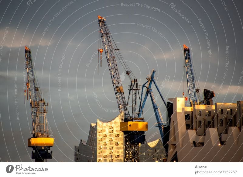 Die Arbeit geht weiter | UT Hamburg Konzerthalle Himmel Sonnenlicht Hamburger Hafen Hafenstadt Sehenswürdigkeit Elbphilharmonie Kran leuchten Bekanntheit