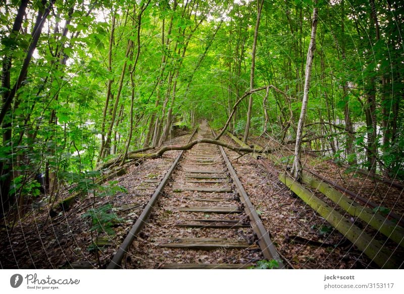 Gleise ohne Anschluss lost places Ast S-Bahn Verschwiegenheit Idylle Inspiration Vergänglichkeit Zahn der Zeit verfallen Endzeitstimmung Wandel & Veränderung