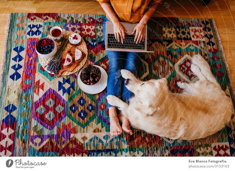 junge frau, die zu hause am laptop arbeitet. süßer golden retriever-hund daneben. gesunde frühstückszeit. technik und lebensstil im haus Notebook