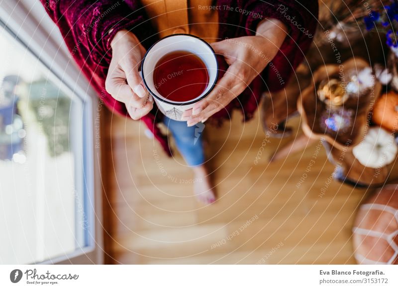 Schöne Frau zu Hause am Fenster, die eine Tasse Tee genießt. Lebensstil im Haus, Herbstsaison Kaffee heimwärts Morgen Kaukasier Lifestyle Innenaufnahme