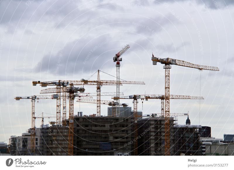 Großbaustelle mit vielen hohen Kränen vor grau bewölktem Himmel Hamburg Bauwerk Gebäude Architektur Baustelle Stein Beton Metall Arbeit & Erwerbstätigkeit