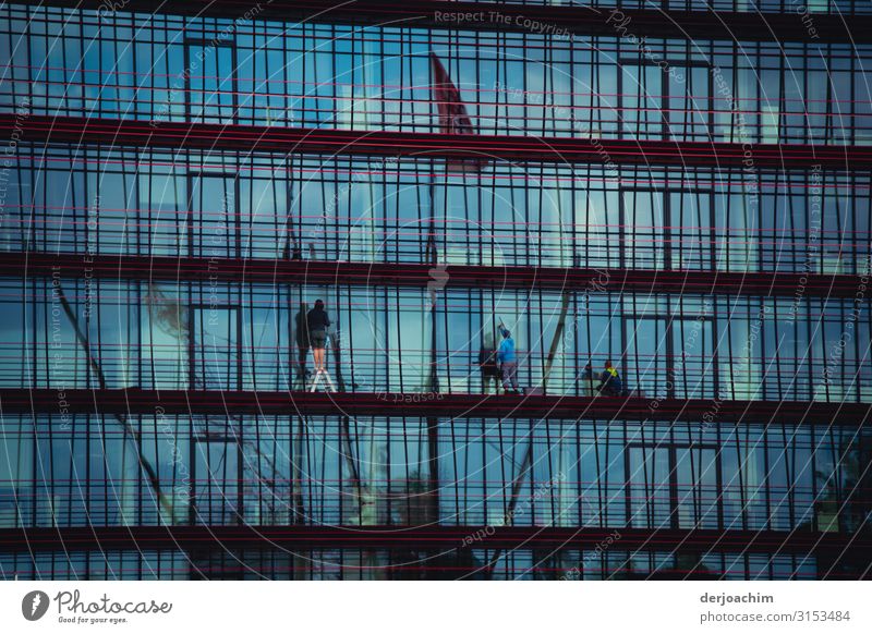 Fenster putzen. An ganz vielen Außenscheiben werden Fenster geputzt. Arbeit & Erwerbstätigkeit Arbeitsplatz Dienstleistungsgewerbe Bürste Mensch maskulin