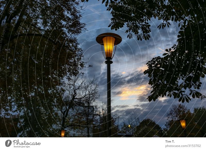 Prater Biergarten Prenzlauer Berg Stadt Hauptstadt Stadtzentrum Altstadt Menschenleer Erholung Freizeit & Hobby Laterne Baum Farbfoto Außenaufnahme Abend