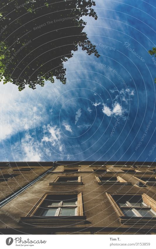 Prenzlauer Berg Stadt Hauptstadt Stadtzentrum Altstadt Menschenleer Haus Fenster Häusliches Leben Himmel Wolken Baum Altbau Farbfoto Außenaufnahme Tag