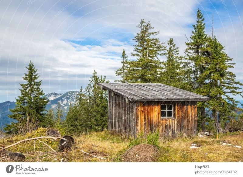 Almhütte Natur Landschaft Pflanze Himmel Wolken Herbst Schönes Wetter Baum Gras Alpen Berge u. Gebirge Gipfel Fitness Jagd laufen Sport wandern Glück