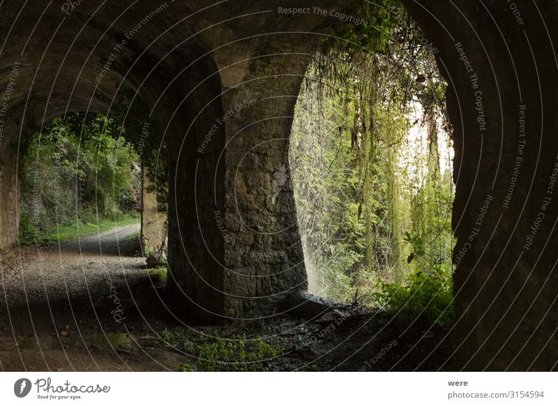 old road with tunnel on the shores of Lake Garda Menschenleer Tunnel Bauwerk Mauer Wand Verkehrswege alt retro Recreation Road car damaged decay forgotten