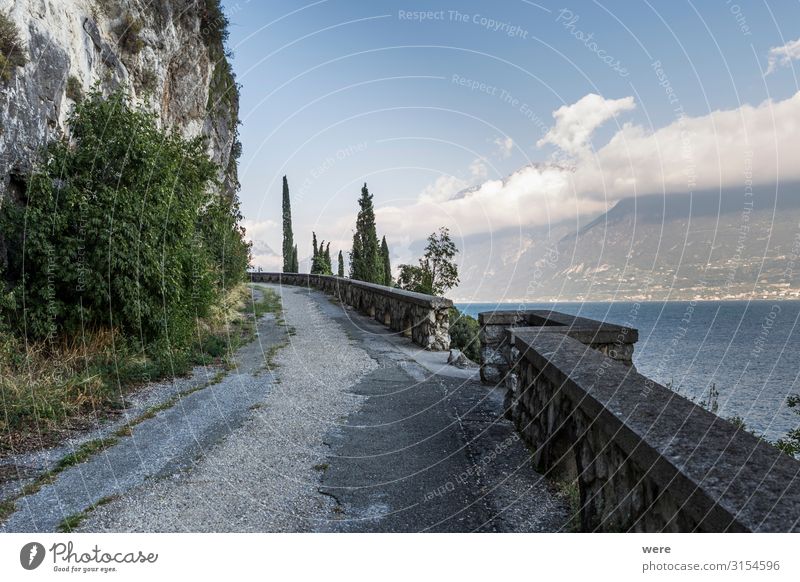 old road on the shores of Lake Garda Ferien & Urlaub & Reisen Tourismus Ferne Sommerurlaub Sonne Tunnel Erholung fahren Recreation Road car damaged decay