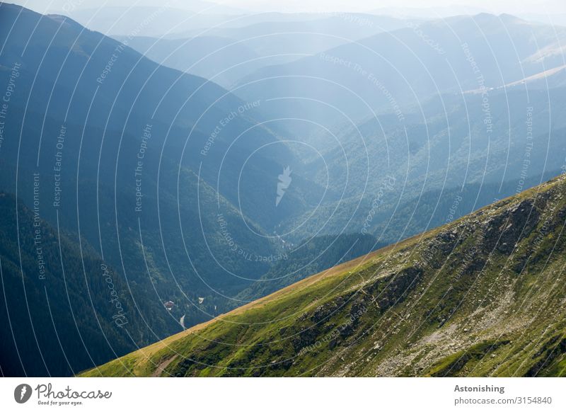 Tal Umwelt Natur Landschaft Pflanze Luft Himmel Horizont Sommer Schönes Wetter Baum Gras Wald Berge u. Gebirge Südkarpaten Karpaten Schlucht Rumänien Straße