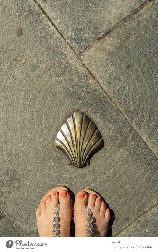 lackierte Zehennägel in Sandalen vor Jakobsmuschelzeichen Ferien & Urlaub & Reisen Städtereise Sommerurlaub Frau Erwachsene Fuß 1 Mensch Schönes Wetter Stadt