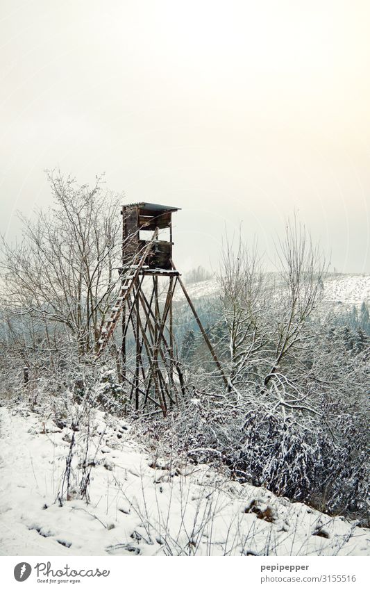 Hochsitz Jagd Ferien & Urlaub & Reisen Ferne Winter Schnee Jäger Arbeitsplatz Landwirtschaft Forstwirtschaft Umwelt Landschaft Pflanze Wolkenloser Himmel Baum