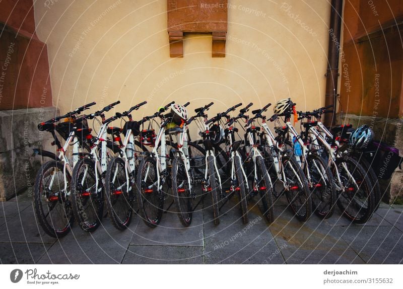 Wir sind alle mit dem Radl da. Ganz viele Fahrräder die an einer Mauer stehen. Erholung Freizeit & Hobby Ausflug Fahrrad Umwelt Herbst Schönes Wetter Wand