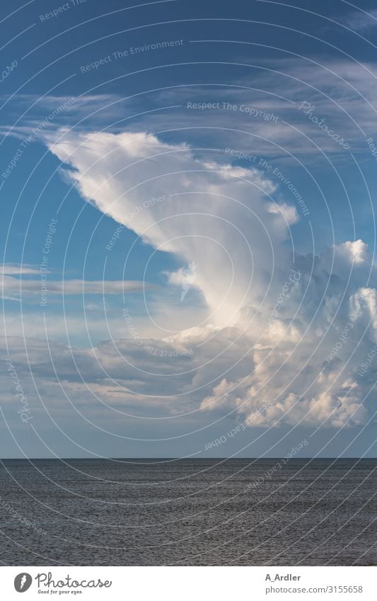 Wolken über dem Meer Natur Landschaft Urelemente Wasser Himmel Sommer Schönes Wetter Nordsee Blick außergewöhnlich bedrohlich gigantisch schön blau weiß Gefühle