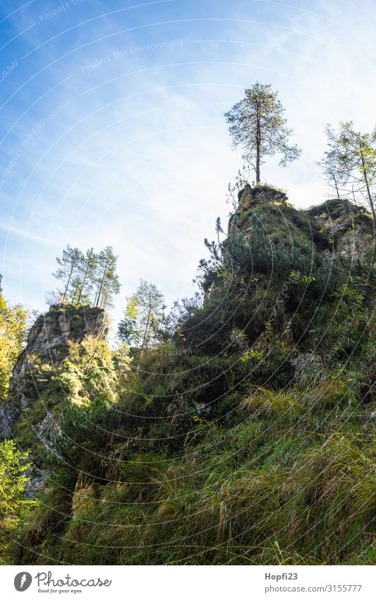 Alpen im Berchtesgadener Land Umwelt Natur Landschaft Pflanze Himmel Wolken Sonne Herbst Schönes Wetter Baum Gras Wald Felsen Berge u. Gebirge Gipfel Diät