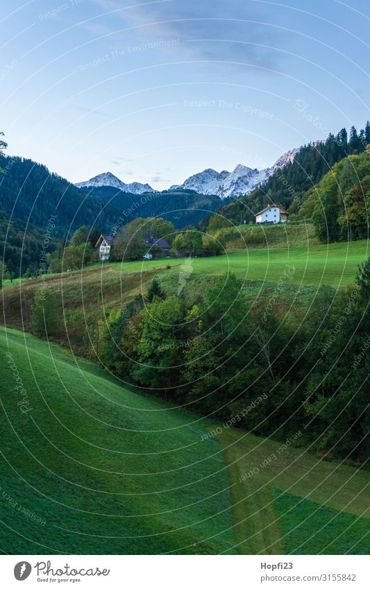 Alpen im Berchtesgadener Land Umwelt Natur Landschaft Pflanze Himmel Wolken Herbst Schönes Wetter Baum Gras Feld Wald Felsen Berge u. Gebirge Gipfel Diät